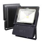 สปอร์ตไลท์ led 100w เดยไลท์ biobulb