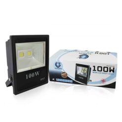 สปอร์ตไลท์ LED 100w (วอร์มไวท์) IWACHI