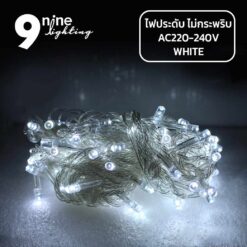 ไฟประดับ-LED100-แสงขาว-(-แบบไม่กระพริบ-) 11