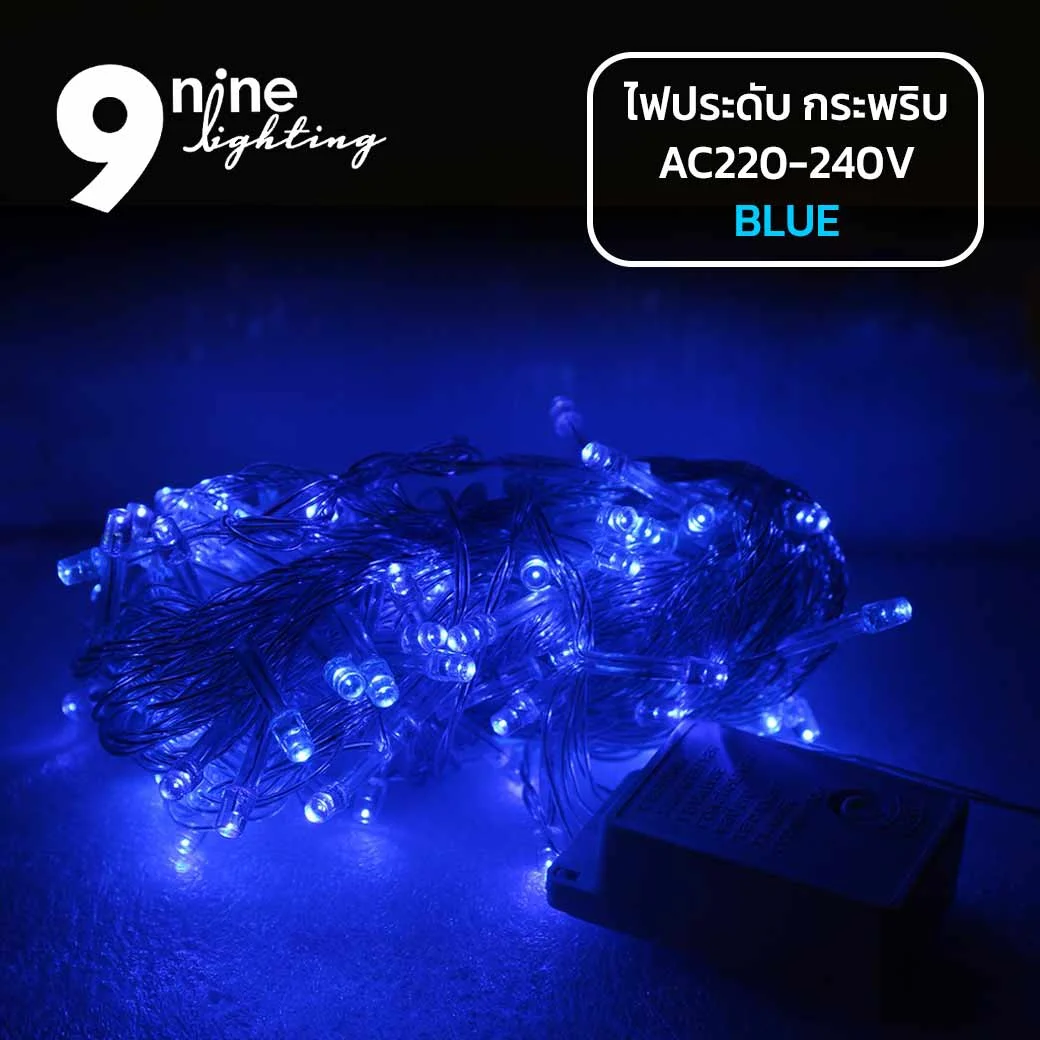 ไฟประดับ LED100 แสงฟ้า ( แบบกระพริบ )