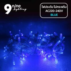ไฟประดับ-LED100-แสงฟ้า-(-แบบไม่กระพริบ-) 