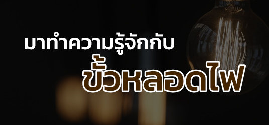 ขั้วหลอดไฟมีกี่แบบ