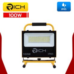 rich-move-100W2