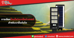 การเลือกโคมไฟถนนโซล่าเซลล์สำหรับนาขั้นบันได