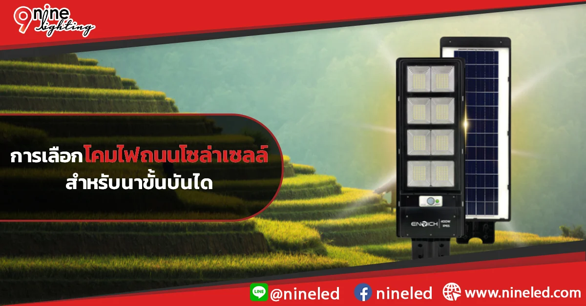 การเลือกโคมไฟถนนโซล่าเซลล์สำหรับนาขั้นบันได