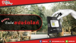 จัดสวนด้วยไฟสปอร์ตไลท์