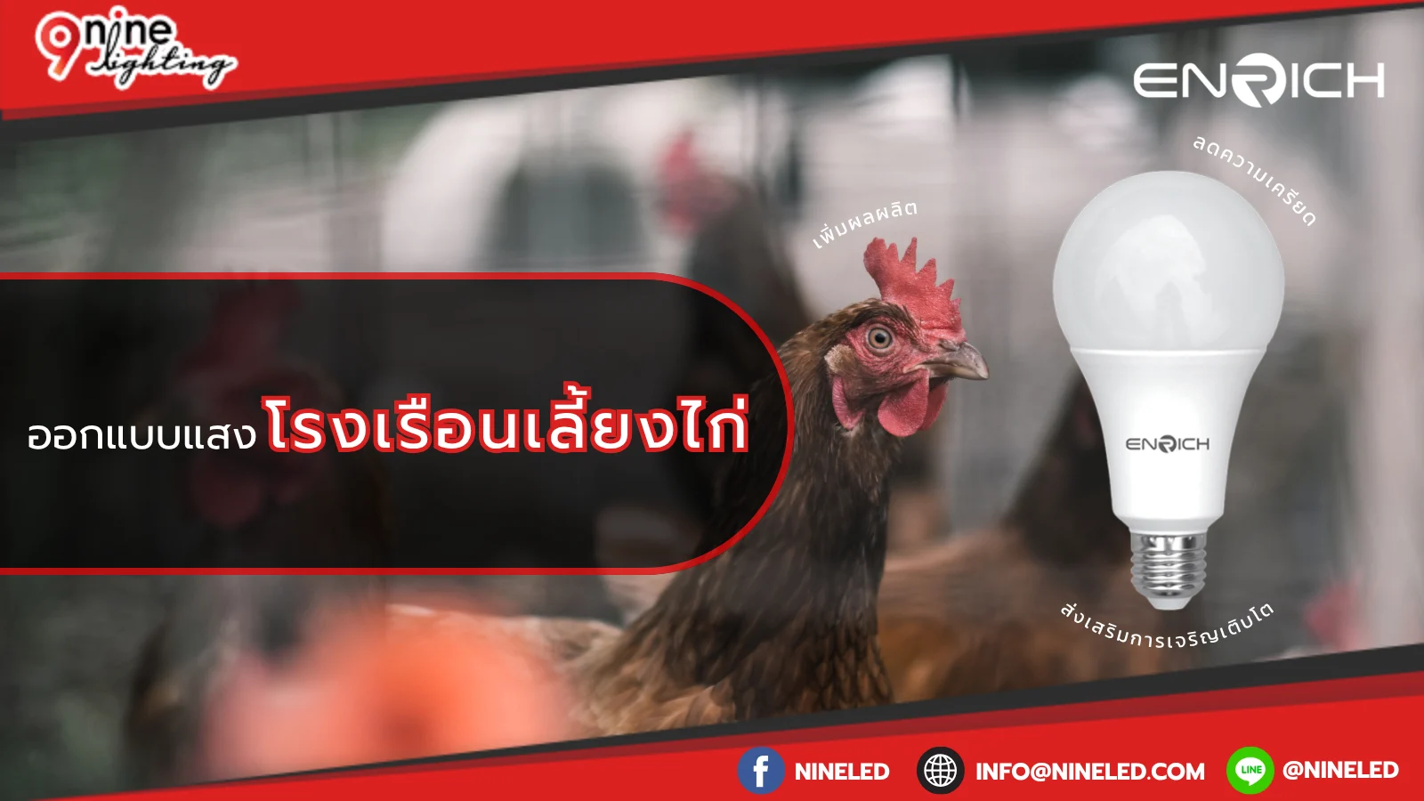 ออกแบบแสงโรงเรือนเลี้ยงไก่